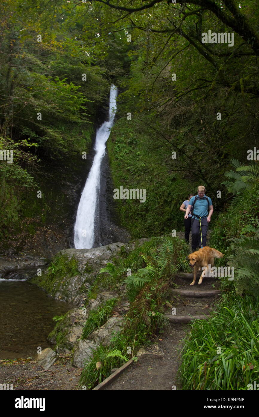 Les marcheurs avec un chien à la rivière Cascade whitelady Lydford Gorge de lydford lyd Devon, Angleterre Banque D'Images