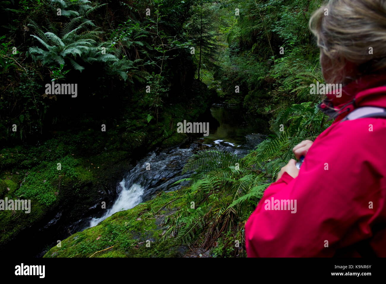 Femme en rouge la marche à travers la gorge de Lydford Gorge de lydford lyd rivière Devon, Angleterre Banque D'Images