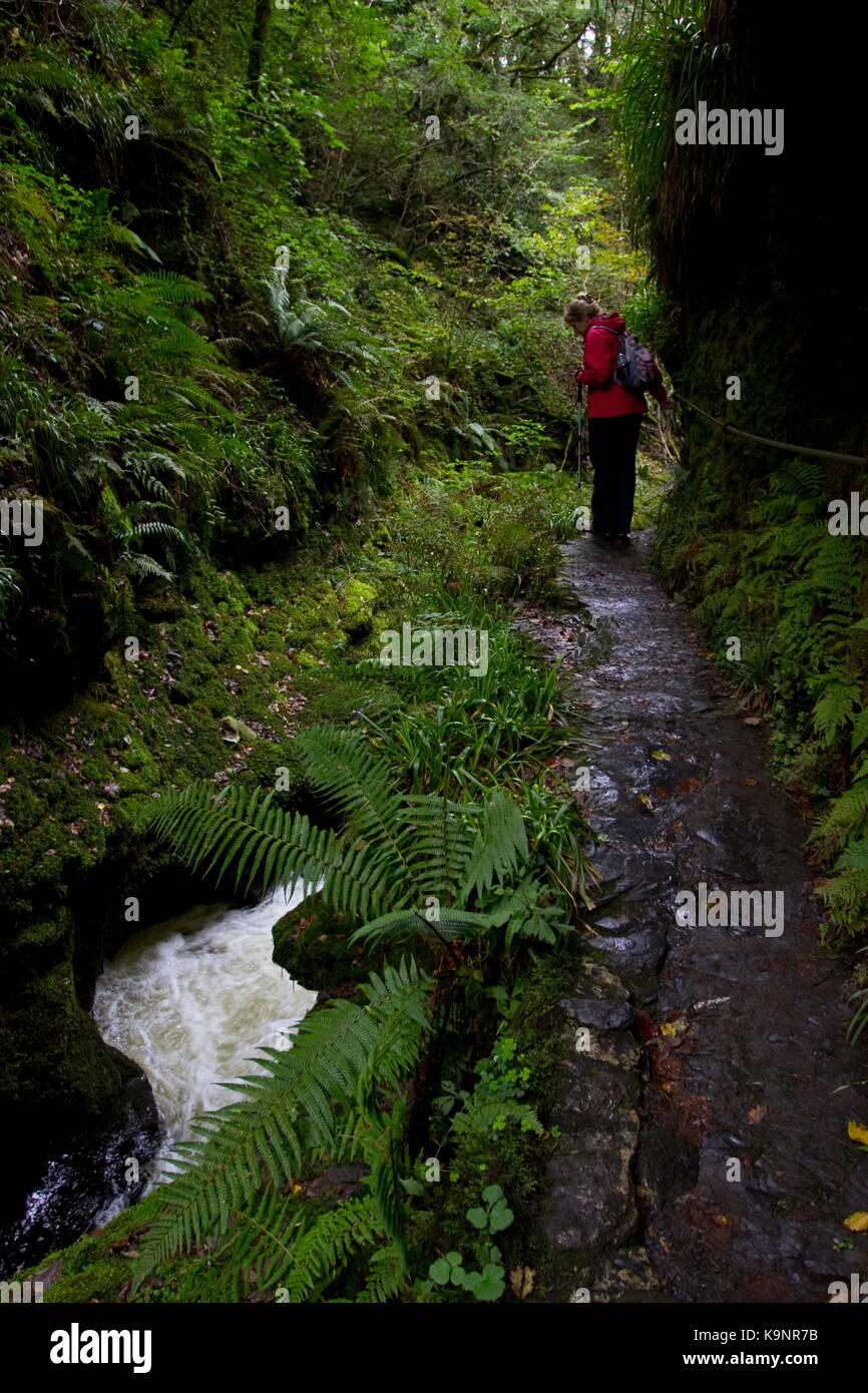 Femme en rouge la marche à travers la gorge de Lydford Gorge de lydford lyd rivière Devon, Angleterre Banque D'Images