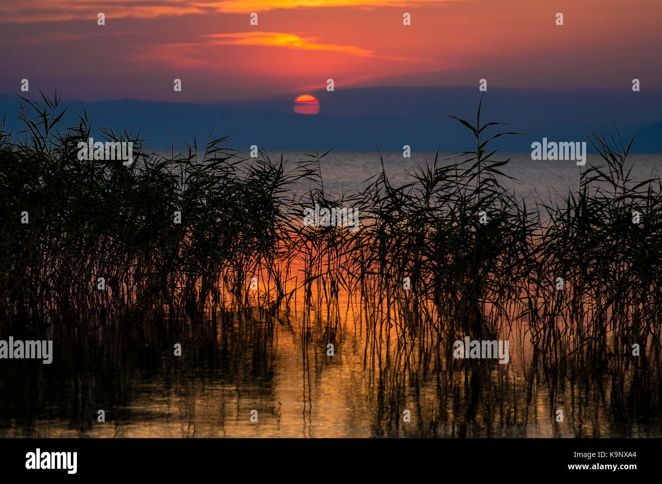 Roseaux réflexion et red coucher de soleil sur le lac d'Iznik, Turquie Banque D'Images