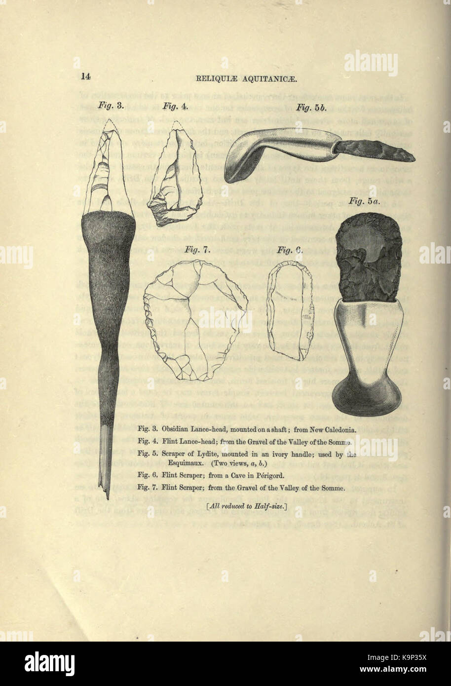 Reliquiae aquitanicae (page 14) BHL20495246 Banque D'Images