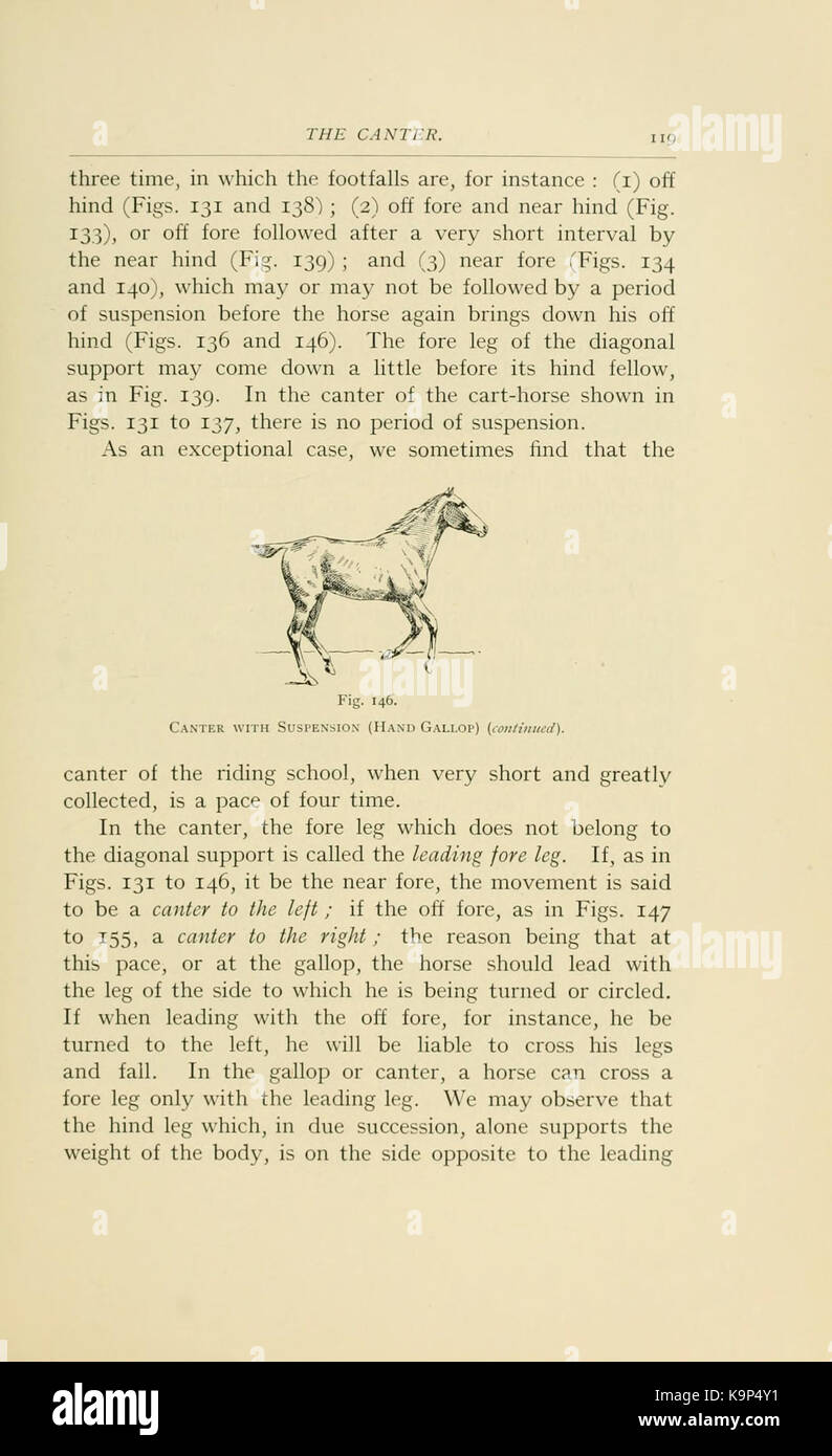 Points de la Horse (page 119) BHL21342943 Banque D'Images