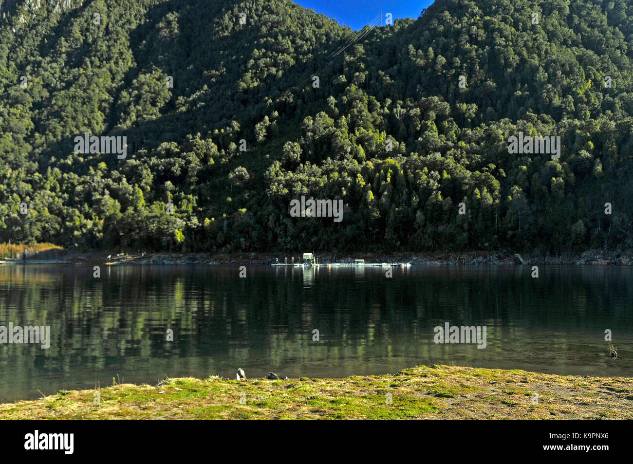 Alerce Andino National Park Banque De Photographies Et D images Haute alerce-andino-national-park-banque-de-photographies-et-d-images-haute