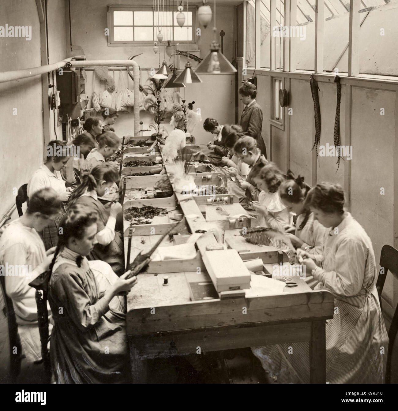 Traitement des plumes d'autruche 1919 Banque D'Images