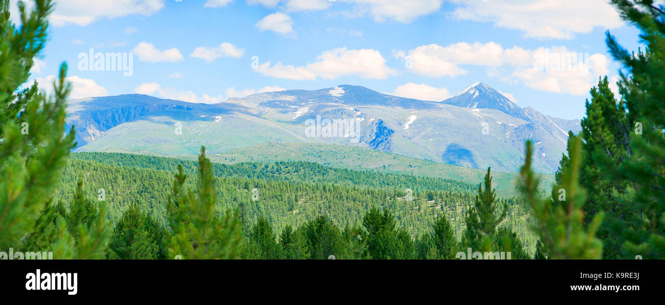 Col ulaganskiy montagnes forestières. L'Altaï, Sibérie Russie grand format panorama. Banque D'Images
