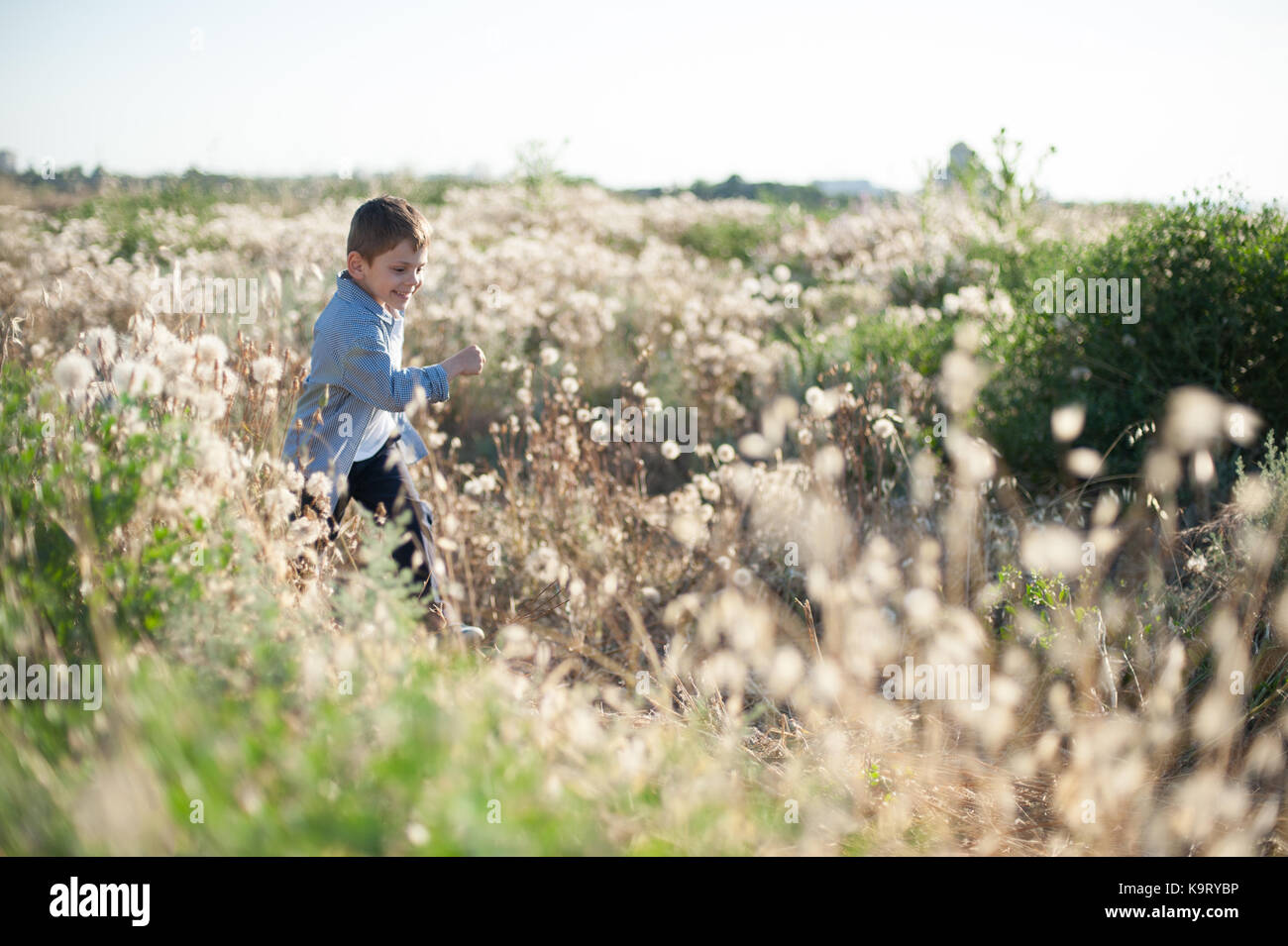 Joyeux petit garçon souriant qui marche sur le terrain parmi les plantes Banque D'Images