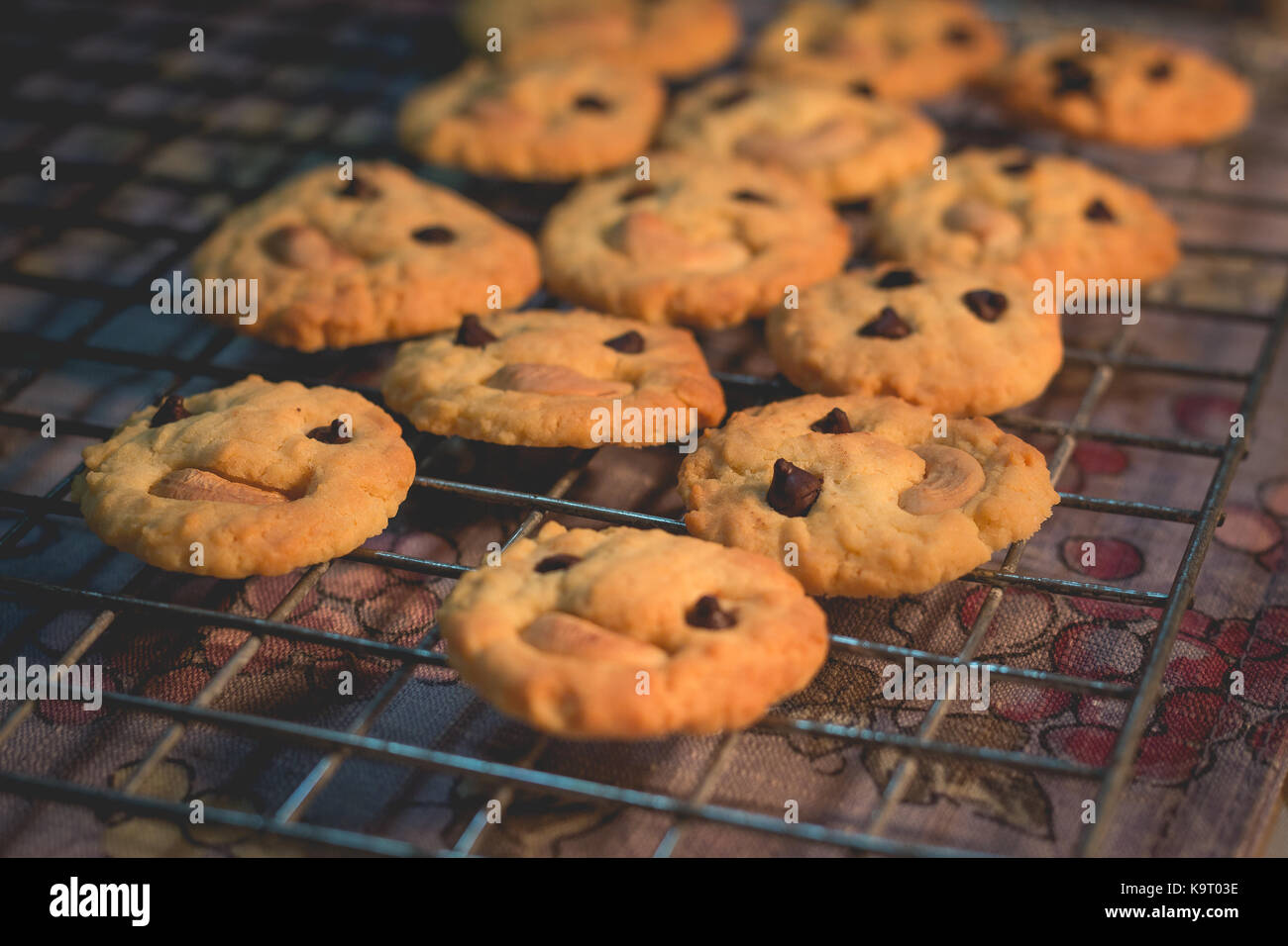 Des biscuits aux pépites de chocolat et noix de cajou (capture à partir d'un éclairage chaleureux dans la cuisine et soft focus) Banque D'Images