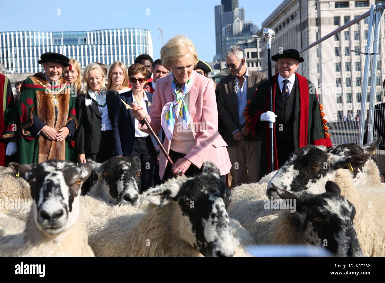 Celebrity baker mary berry est suivie par de nouveaux hommes libres de la ville de Londres, comme elle l'troupeaux ovins sur le pont de Londres pour aider à ouvrir la laine équitable. Banque D'Images