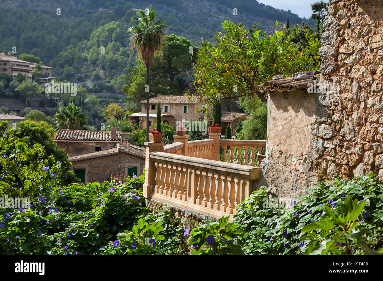 Village de deia Majorque, Espagne Banque D'Images