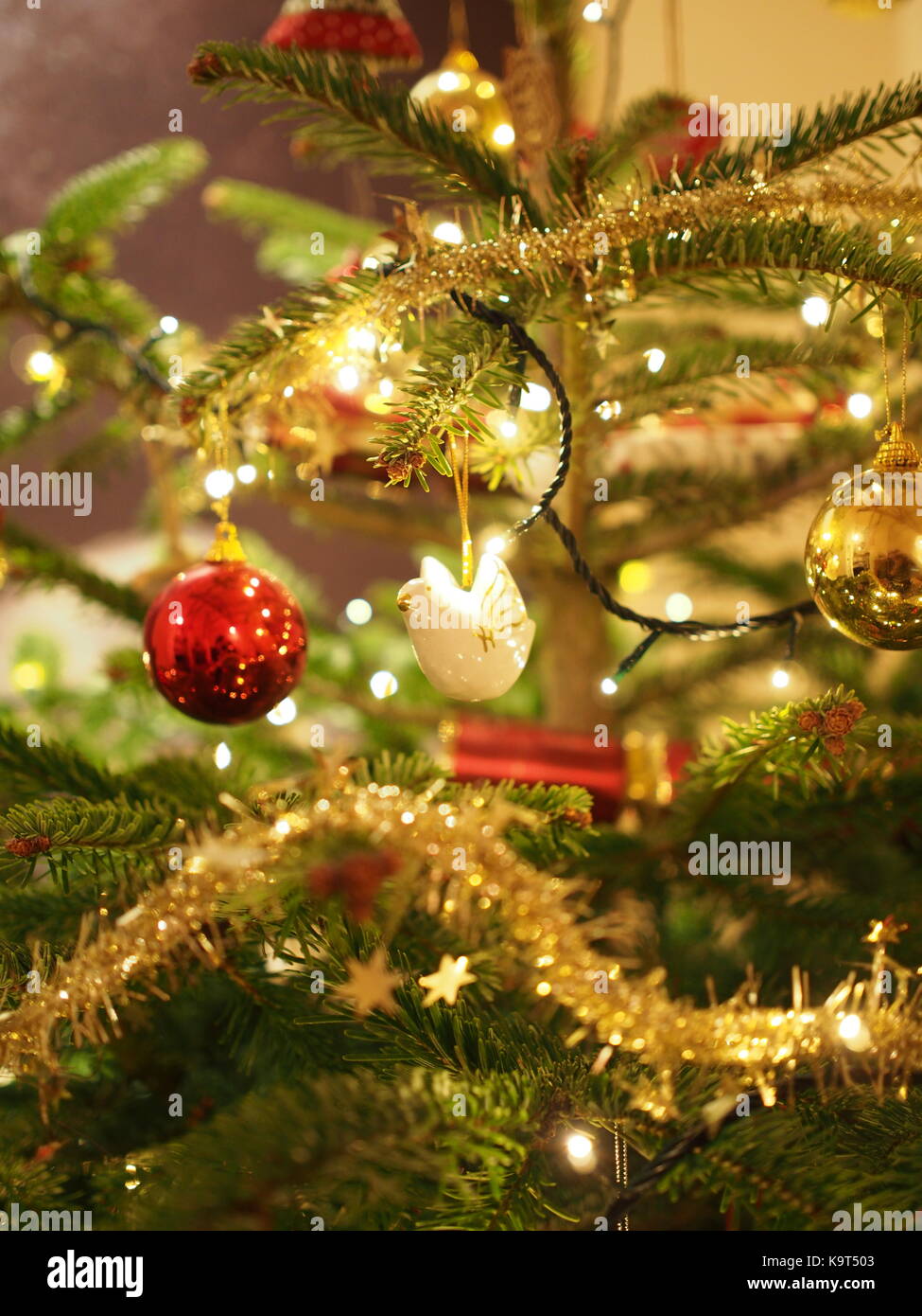 Une colombe blanche se bloque à partir d'un arbre de Noël Banque D'Images