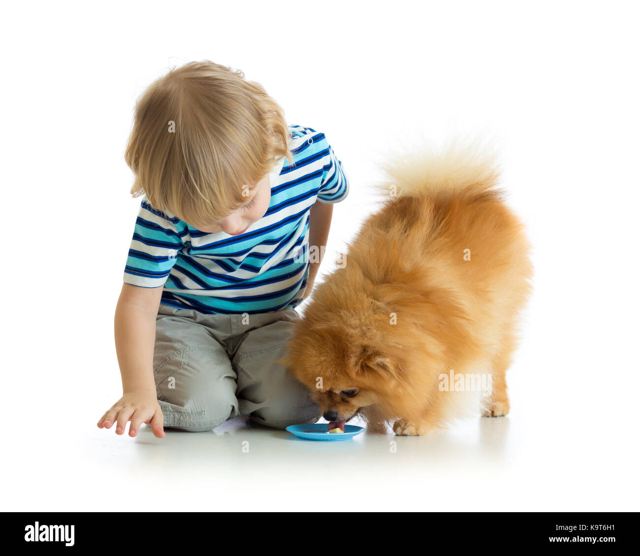 Peu chiild boy feeding dog isolated on white Banque D'Images