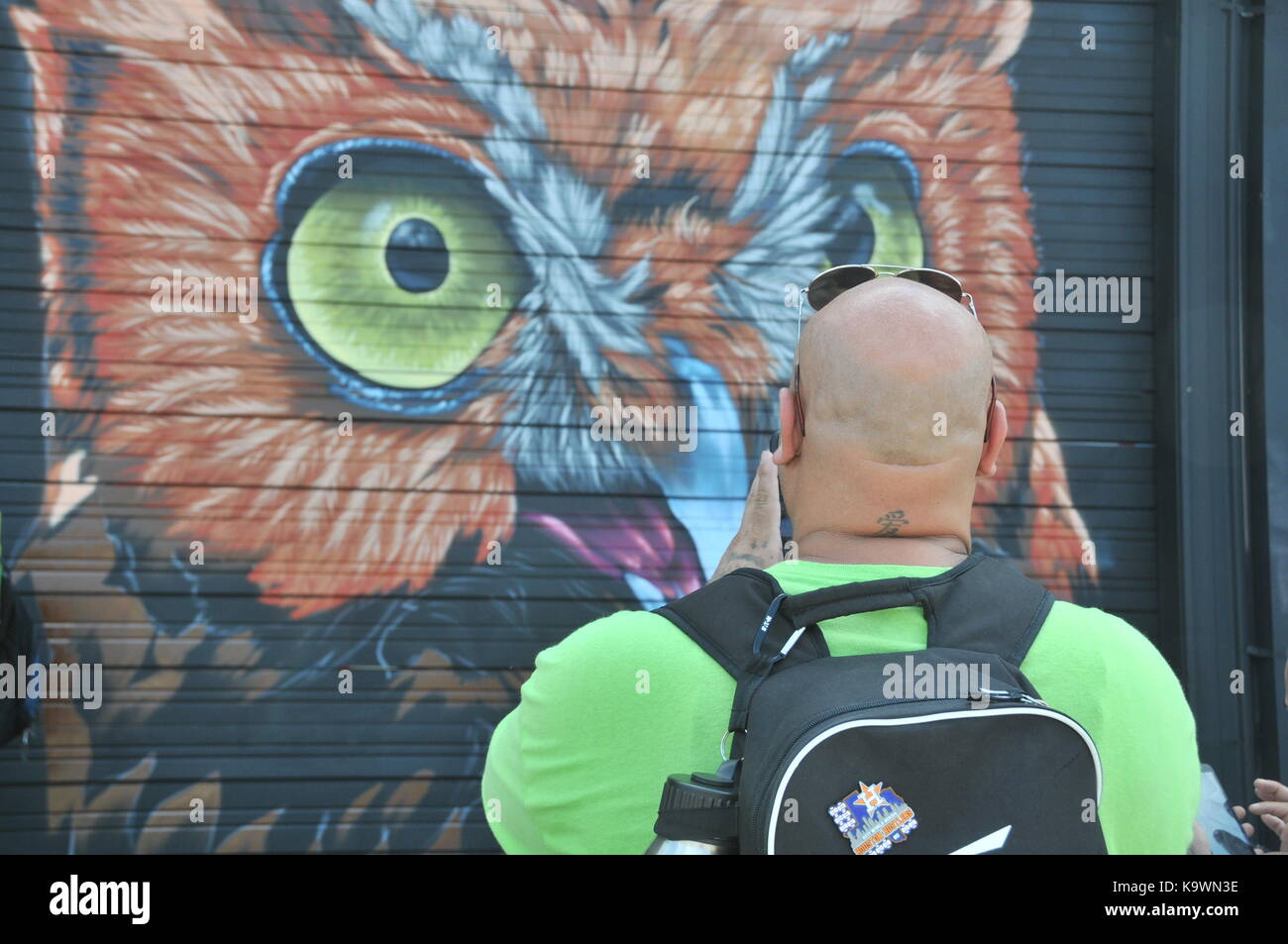 Houston, Texas, de l'usa. 29Th sep 2017. Un visiteur admire un tableau pendant le 'réunion de styles houston' festival graffiti à Houston, Texas aux États-Unis, sept. 23, 2017. crédit : liu liwei/Xinhua/Alamy live news Banque D'Images