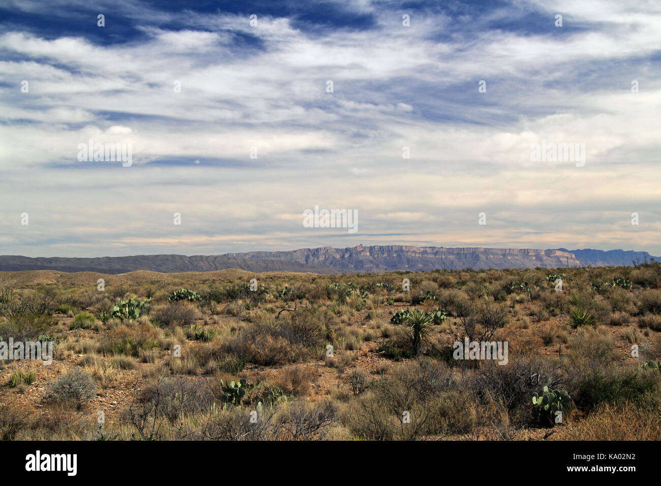 Beau paysage du sud-ouest dans la région de Big Bend National Park dans l'état du Texas Banque D'Images