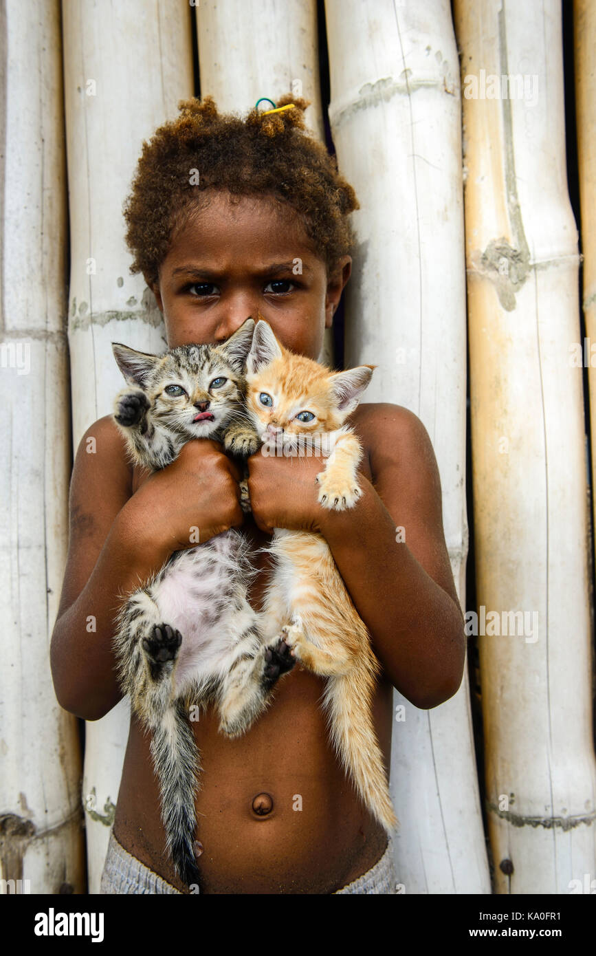 Petits Chats Banque De Photographies Et D Images A Haute Resolution Alamy Petits Chats Banque De Photographies Et D Images A Haute Resolution Alamy