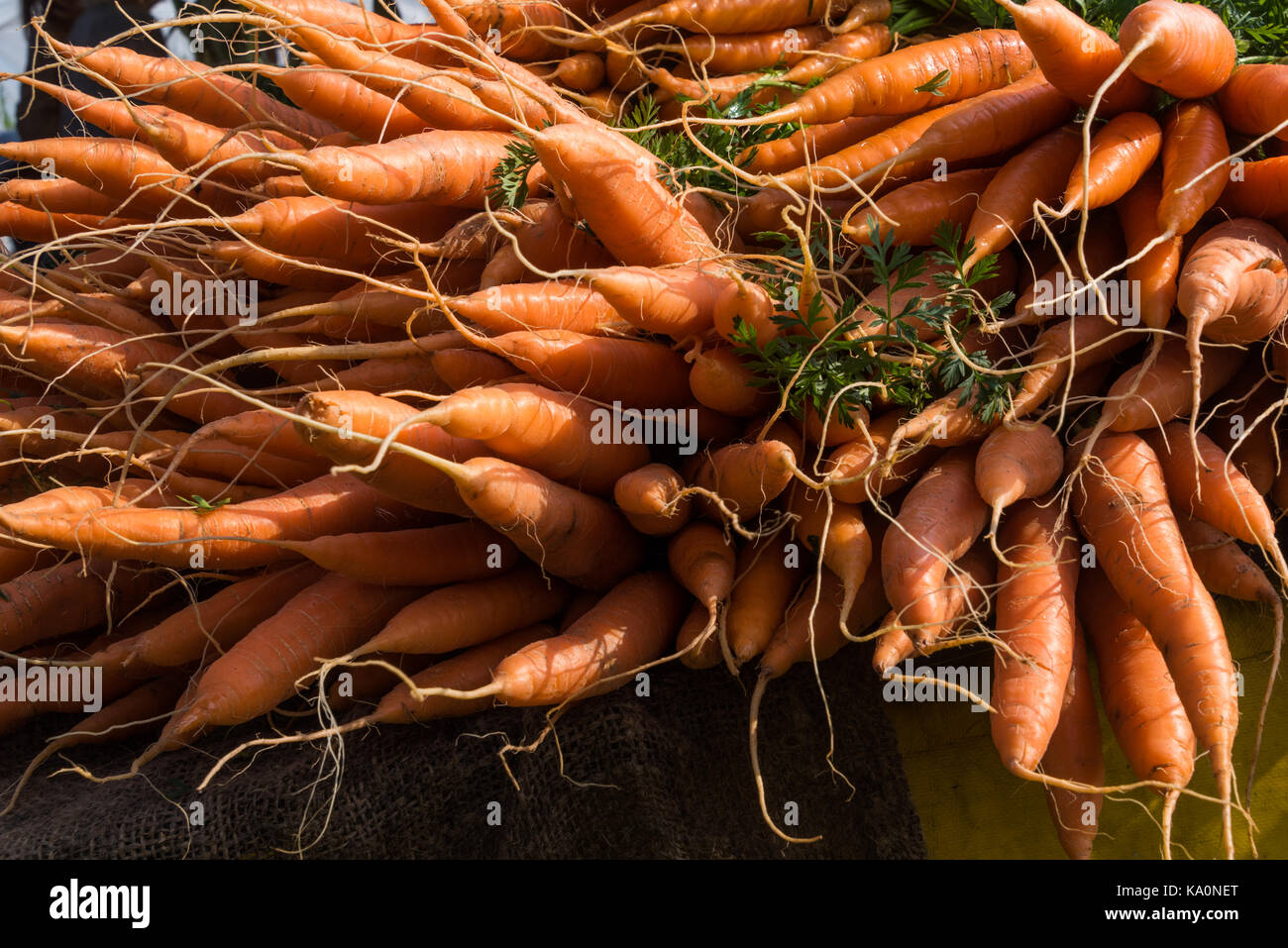 En bonne santé et de carotte rouge sur un marché Banque D'Images