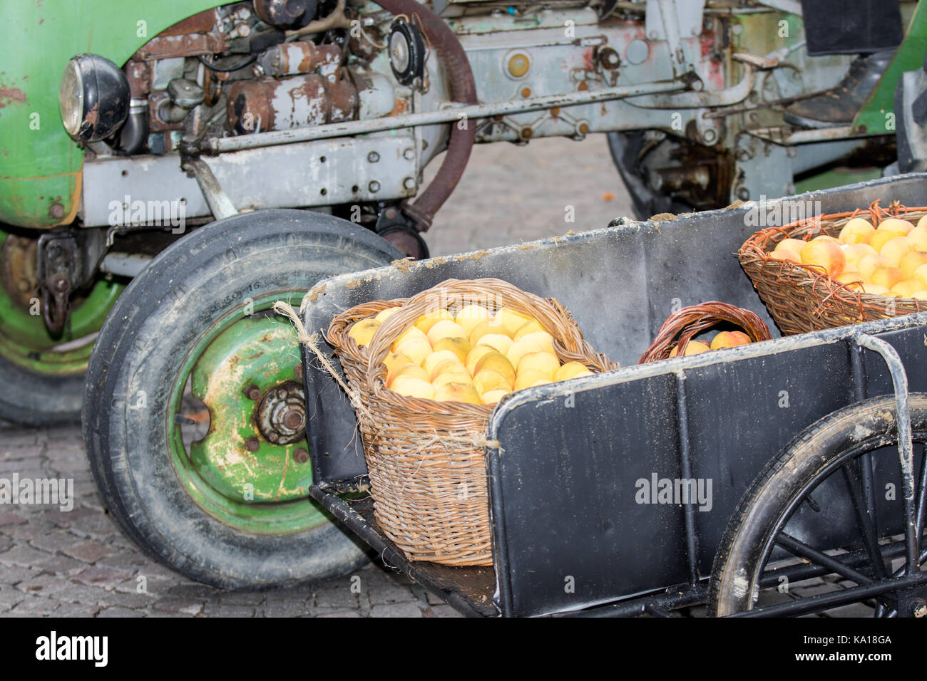 Asti, ITALIE - 10 septembre 2017 : pêche jaune baskets reposant sur un vieux panier avec un vieux tracteur vert sur la couverture Banque D'Images