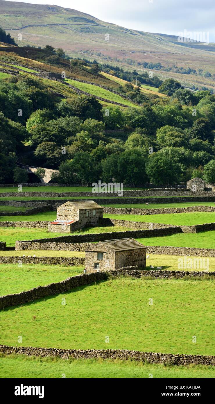 Les murs en pierre sèche et des granges de swaledale,yorkshire,uk Banque D'Images