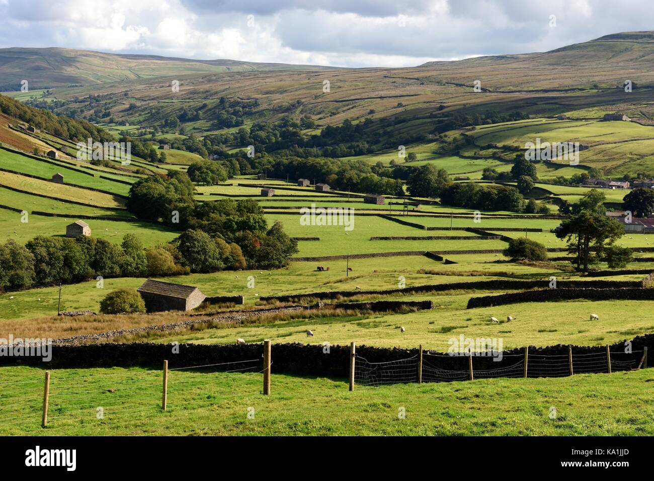 Les murs en pierre sèche et des granges de swaledale,yorkshire,uk Banque D'Images
