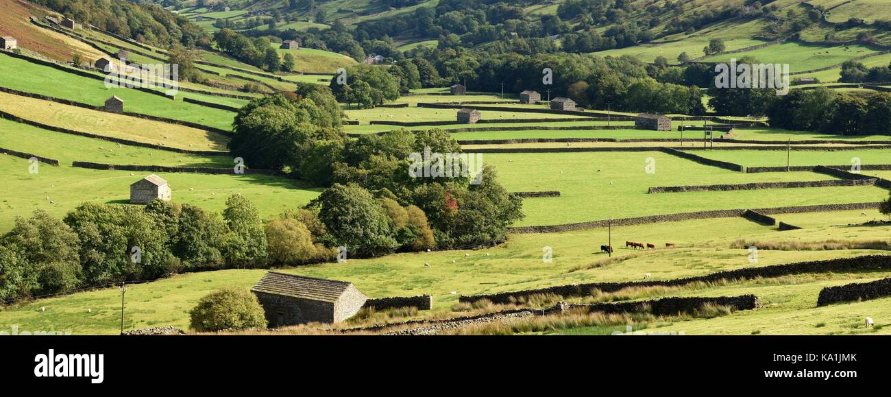 Les murs en pierre sèche et des granges de swaledale,yorkshire,uk Banque D'Images