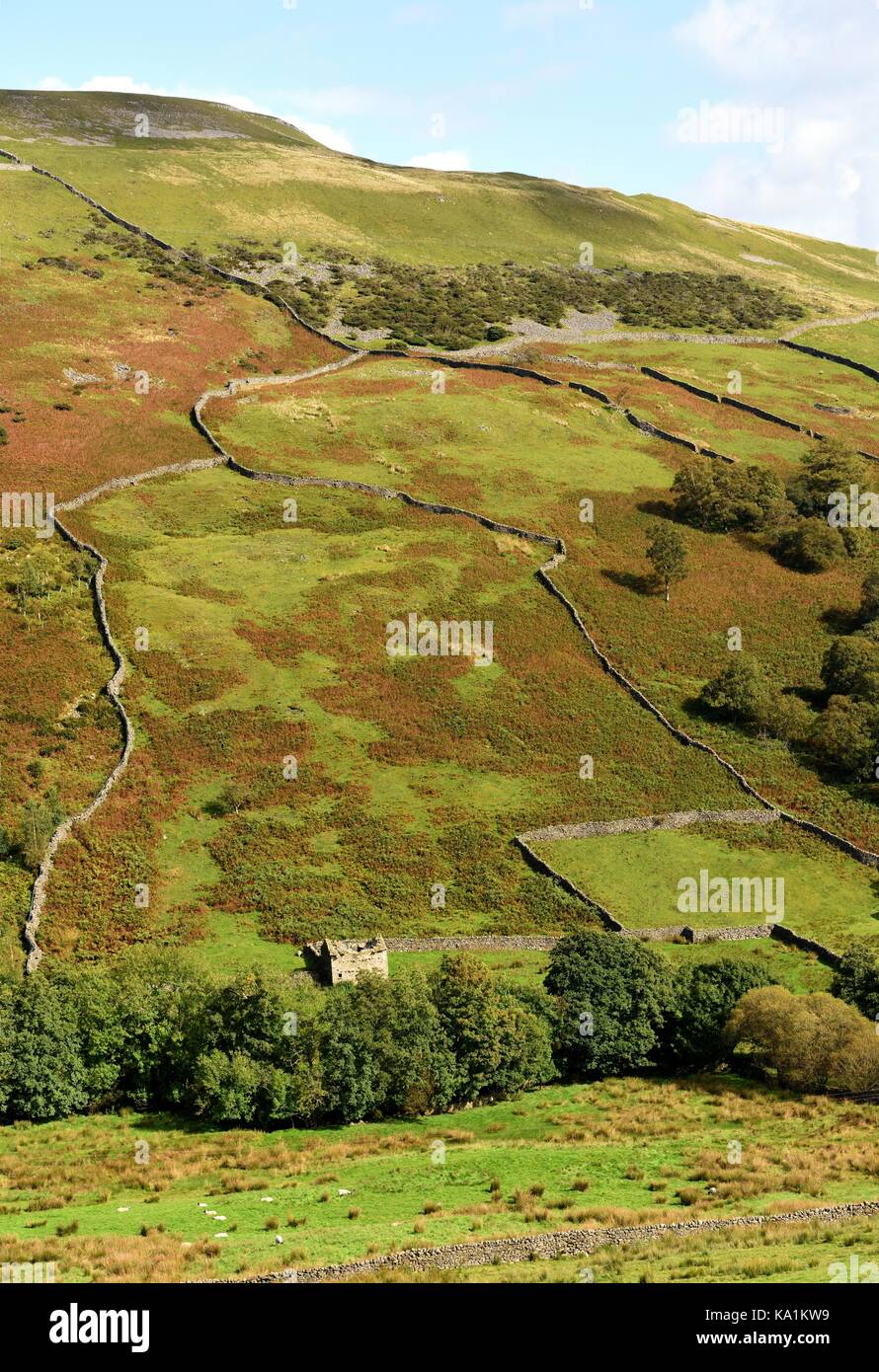 Murs de pierres sèches et de terrain dans la région de grange swaledale,yorkshire Banque D'Images
