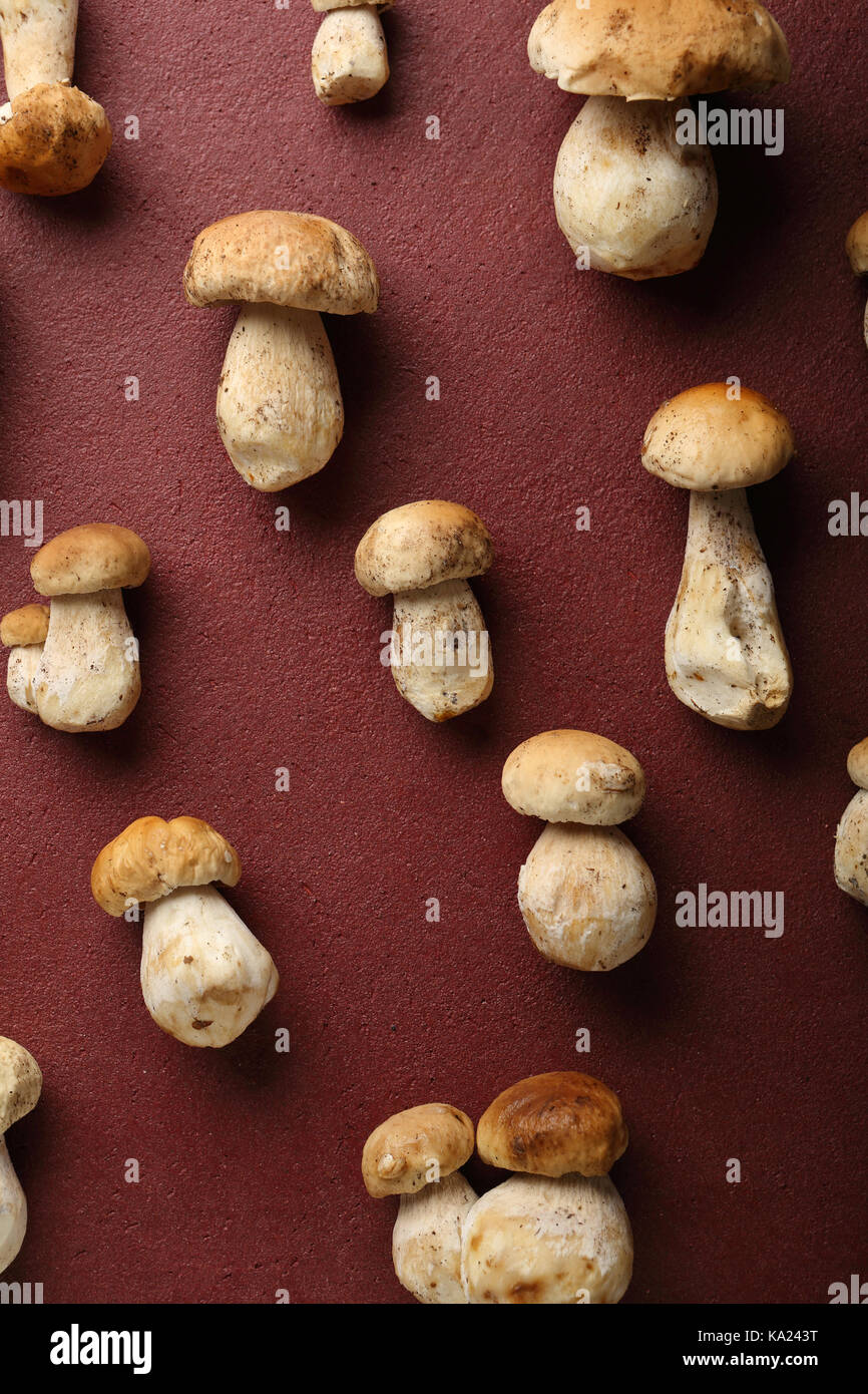 Champignons des bois art fond, foodie ci-dessus Banque D'Images