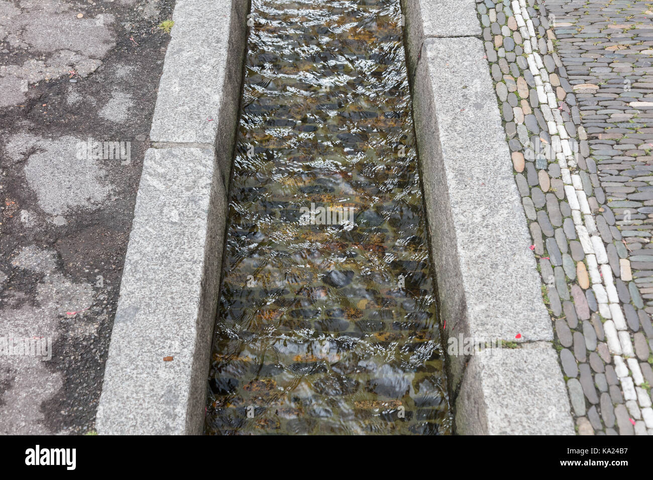 Les petits canaux d'eau dans les rues de Freiburg - Allemagne Banque D'Images