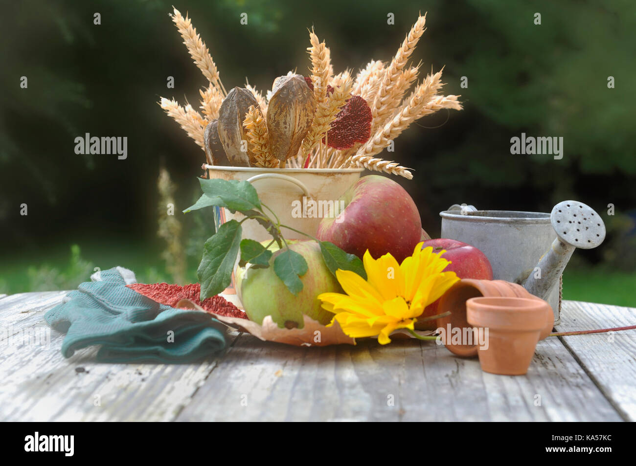 Décoration de jardin d'automne sur une table Banque D'Images