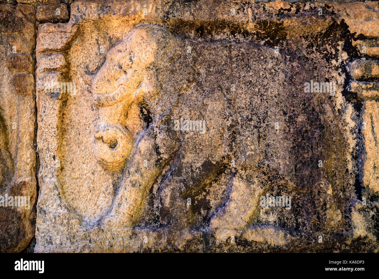 Sculptures d'éléphants de Polonnaruwa au Sri Lanka Banque D'Images