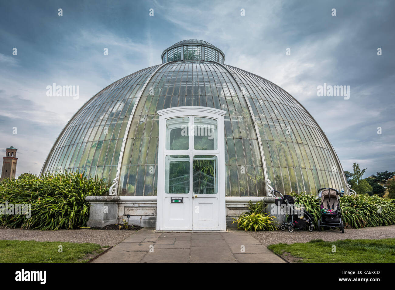 Le Palm House à Kew Gardens, un jardin botanique dans le sud-ouest de Londres, contenant la plus grande et la plus diversifiée des spécimens botaniques dans le monde. Banque D'Images