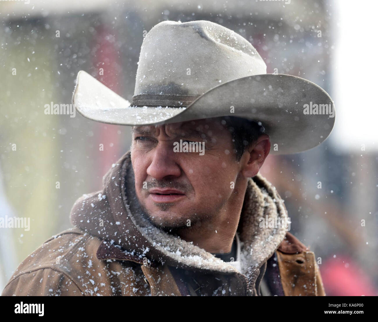 WIND RIVER (2017) JEREMY RENNER TAYLOR SHERIDAN (DIR) PHOTOS DE TENSION/MOVIESTORE COLLECTION LTD Banque D'Images