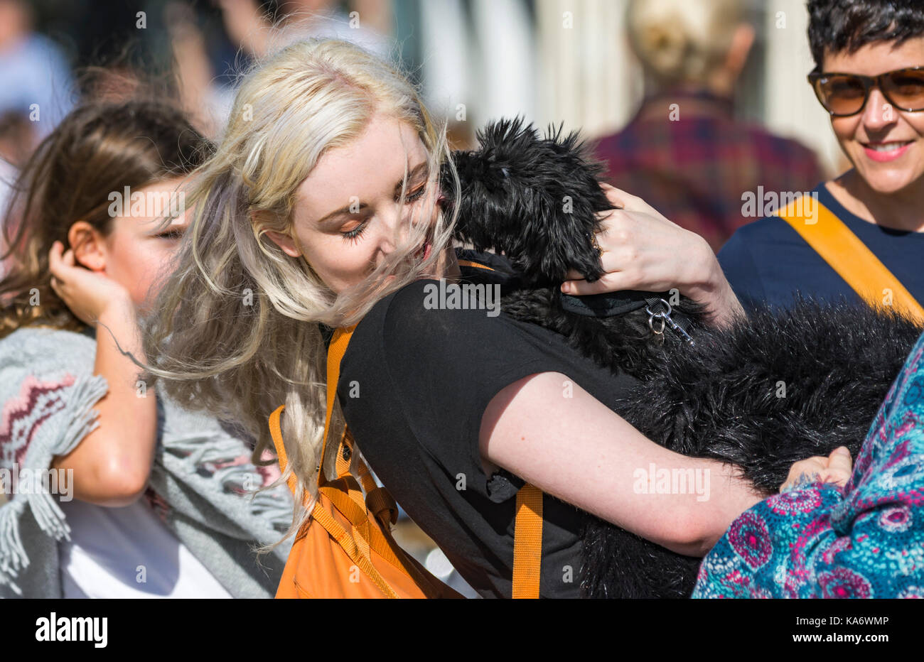 Jolie jeune femme de câliner un chien pendant qu'il lèche son visage pour montrer l'affection. Banque D'Images