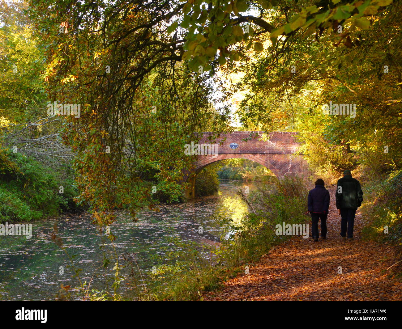 Le canal de Basingstoke Banque D'Images