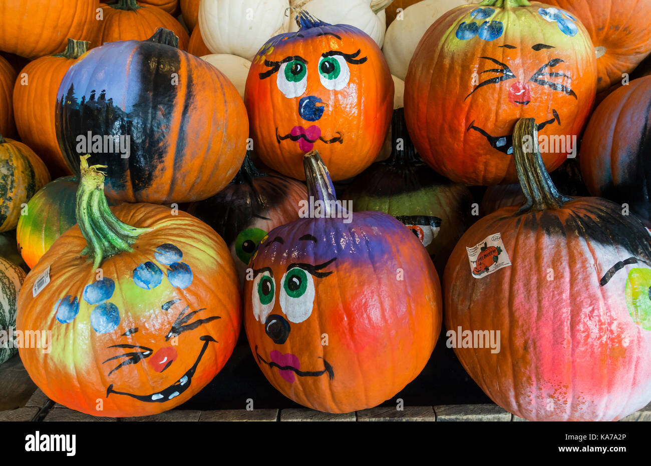 Citrouilles peintes et gaies pour célébrer les États-Unis de HalloweenUnited Banque D'Images
