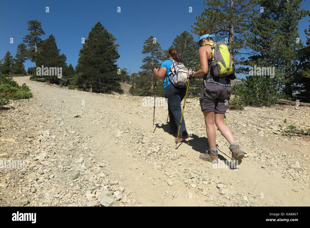 Mount Baldy, Californie, USA. 24 juin, 2016. Les randonneurs tête en haut le sentier vers le sommet du mont San antonio. mount San antonio, appelées Mount Baldy, est le plus haut sommet des montagnes San Gabriel, et le point le plus élevé dans le comté de Los Angeles, Californie. Le sommet est dans les montagnes San Gabriel national monument et angeles national forest. Mont San Antonio est parfois les sommets enneigés sont visibles par temps clair et dominer la vue de le bassin de los angeles skyline. crédit : ruaridh stewart/zuma/Alamy fil live news Banque D'Images