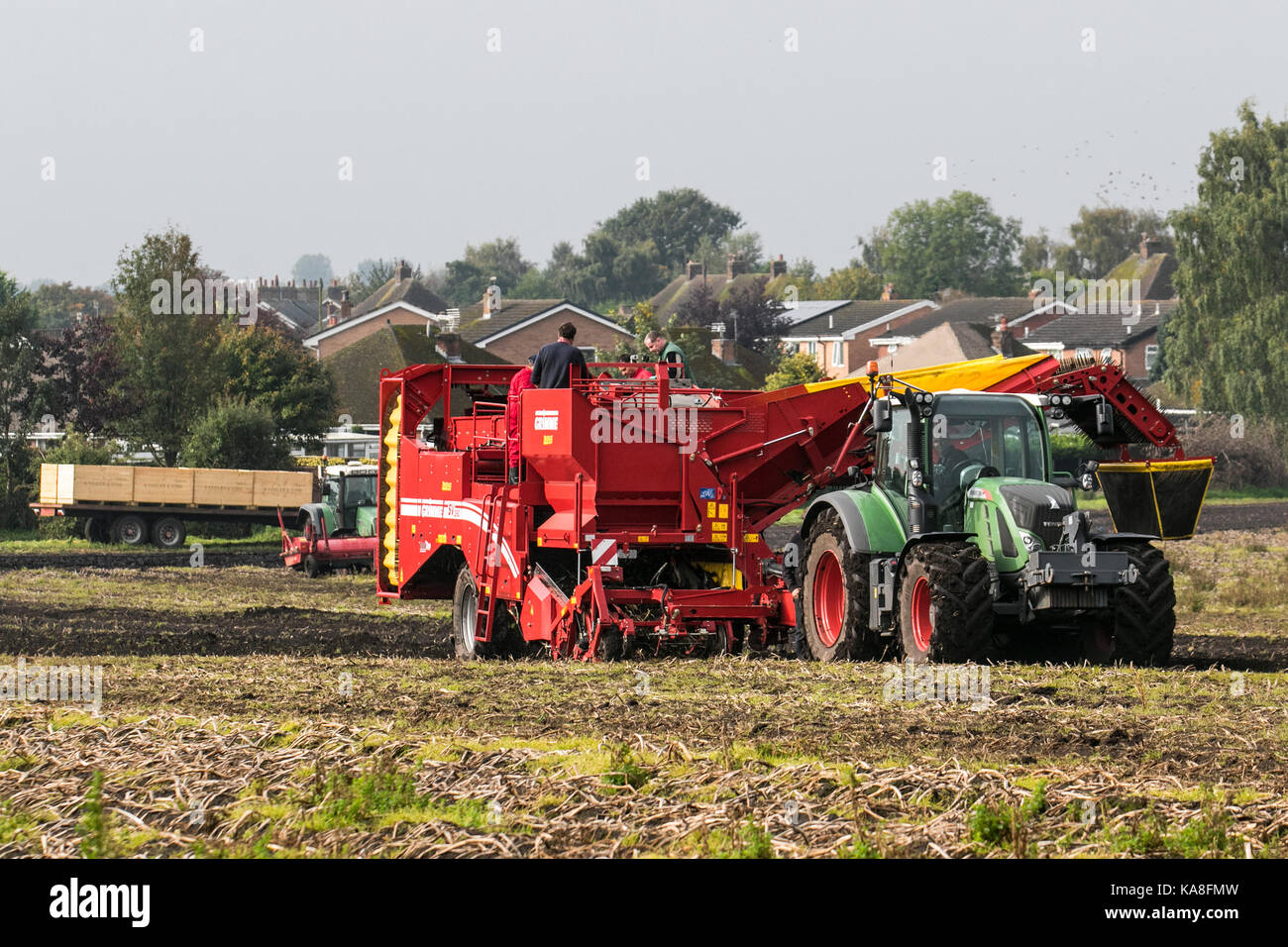 Hesketh Bank, Lancashire. Météo britannique. 26 Septembre, 2017. Conditions de fine avec une récolte de pommes de terre automatique Grimme Allemand SV 260 récolteuse. Les journées chaudes, nuits fraîches, et un sol bien drainé sont des conditions idéales pour la culture des meilleures pommes de terre. Dans le nord l'espace de stockage principal sont récoltés en septembre, quand les jours sont de plus cool et avant le premier gel. Credit : MediaWorldImages/Alamy Live News Banque D'Images