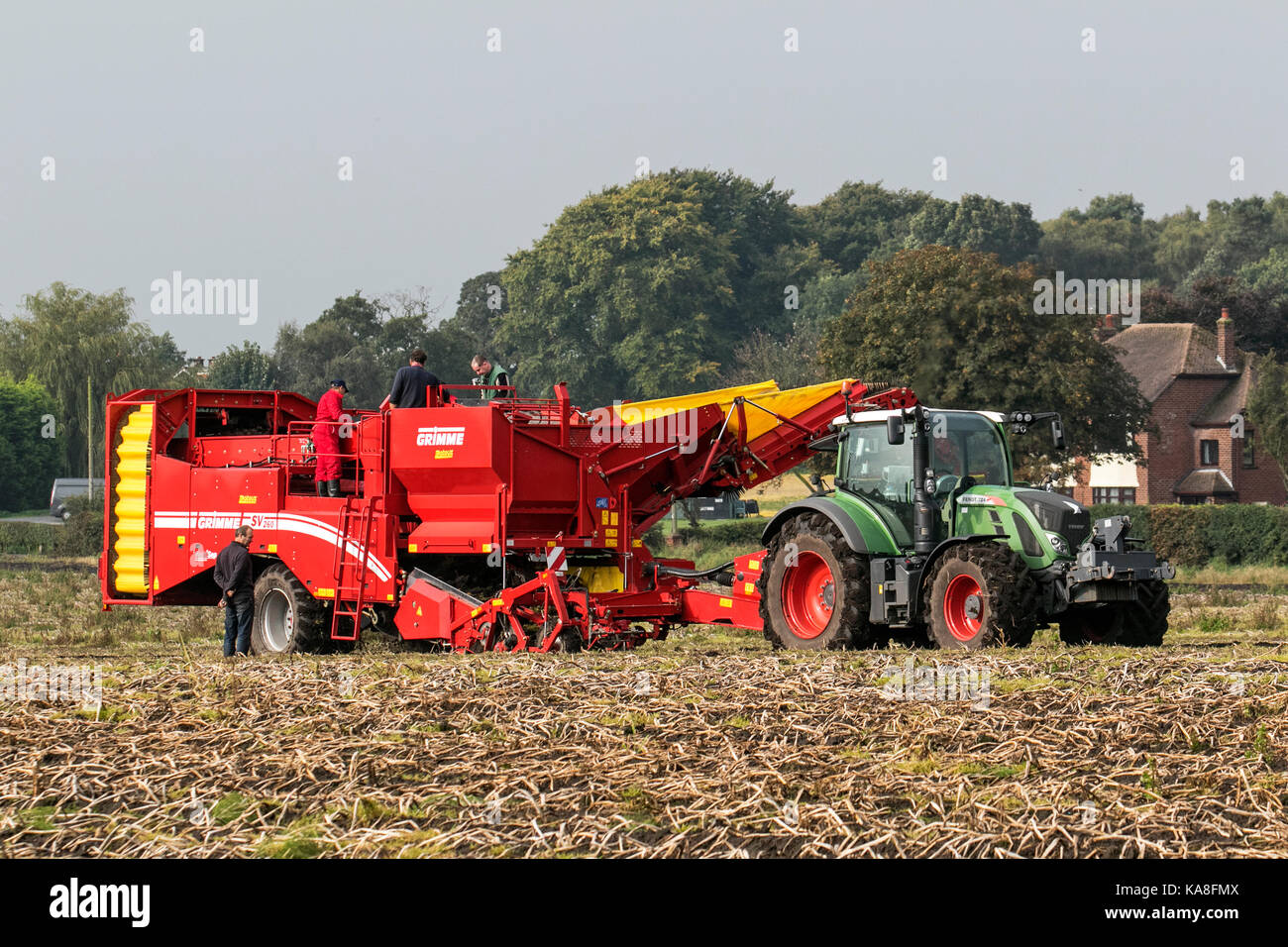 Hesketh Bank, Lancashire. Météo britannique. 26 Septembre, 2017. Conditions de fine avec une récolte de pommes de terre automatique Grimme Allemand SV 260 récolteuse. Les journées chaudes, nuits fraîches, et un sol bien drainé sont des conditions idéales pour la culture des meilleures pommes de terre. Dans le nord l'espace de stockage principal sont récoltés en septembre, quand les jours sont de plus cool et avant le premier gel. Credit : MediaWorldImages/Alamy Live News Banque D'Images