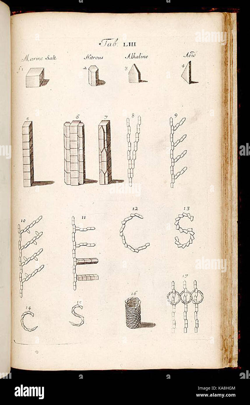 L'anatomie des plantes (tab. 53) BHL268199 Banque D'Images