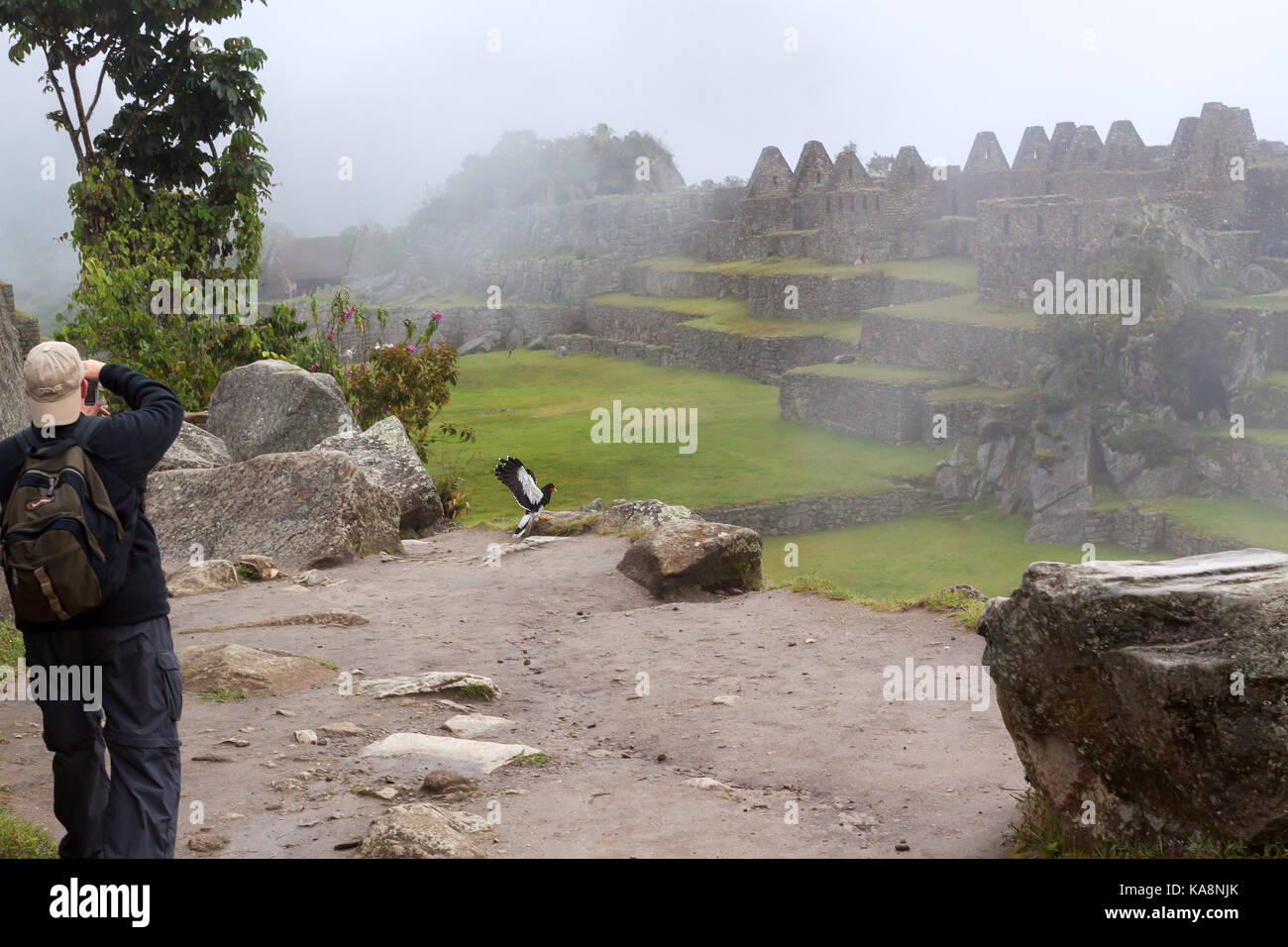 Le Machu Picchu, la ville perdue des Incas", le Pérou. Banque D'Images