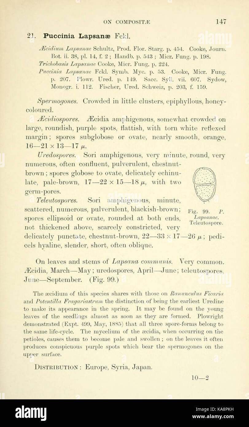 Les Britanniques rouilles (Uredinales) (page 147) BHL2990881 Banque D'Images