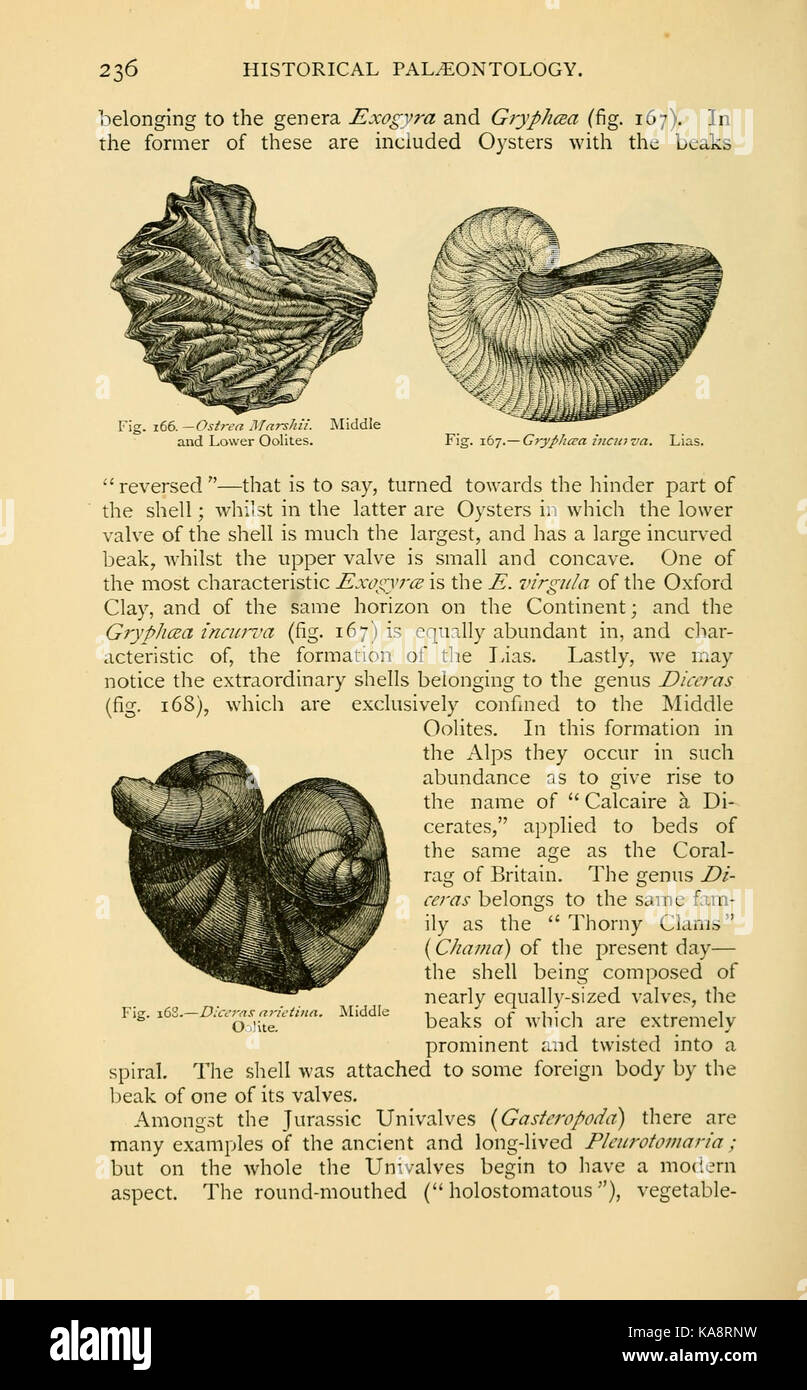 La vie ancienne histoire de la terre (page 236, fig. 166168) BHL13762726 Banque D'Images