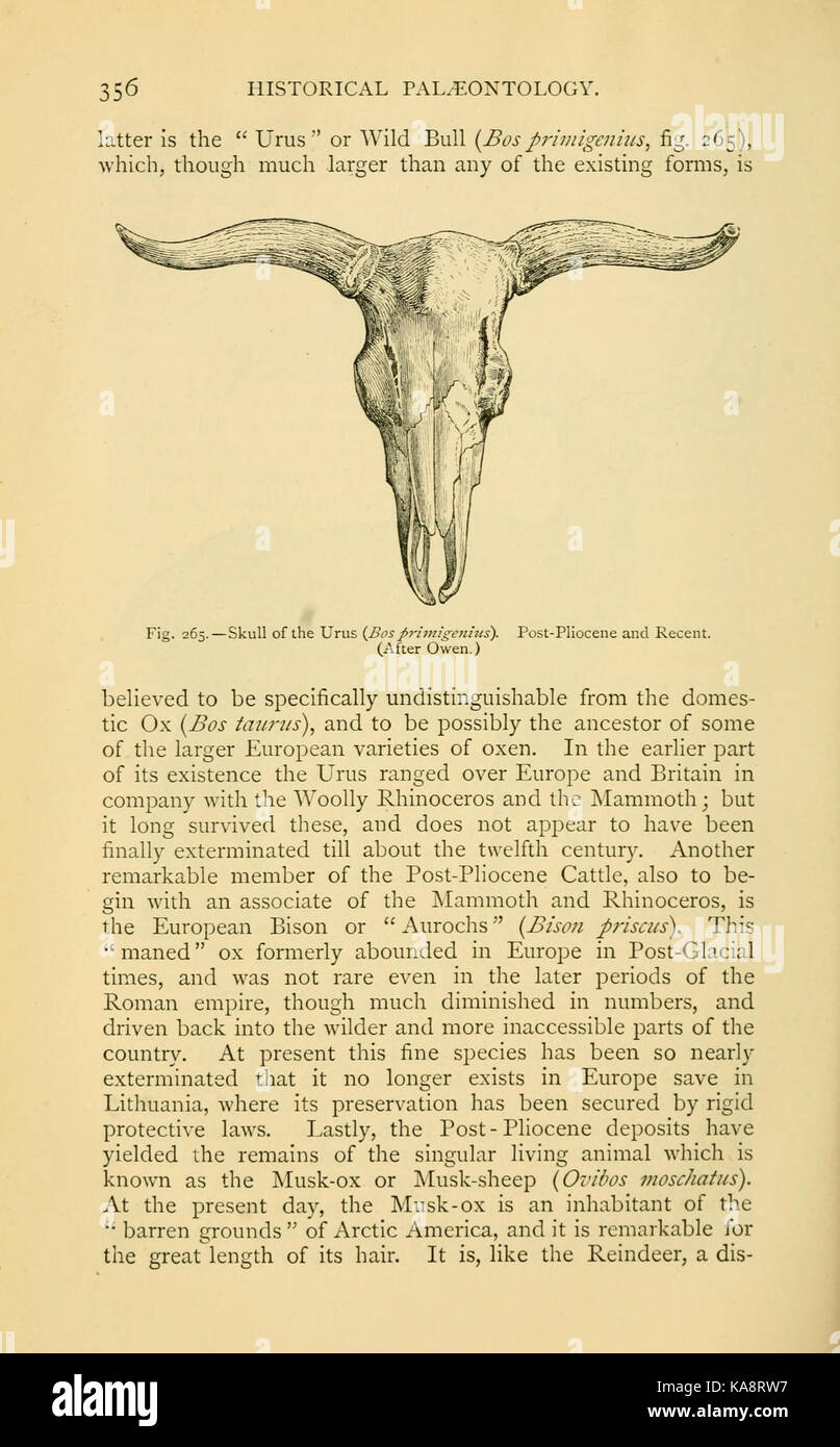 La vie ancienne histoire de la terre (page 356, fig. 265) BHL13762846 Banque D'Images