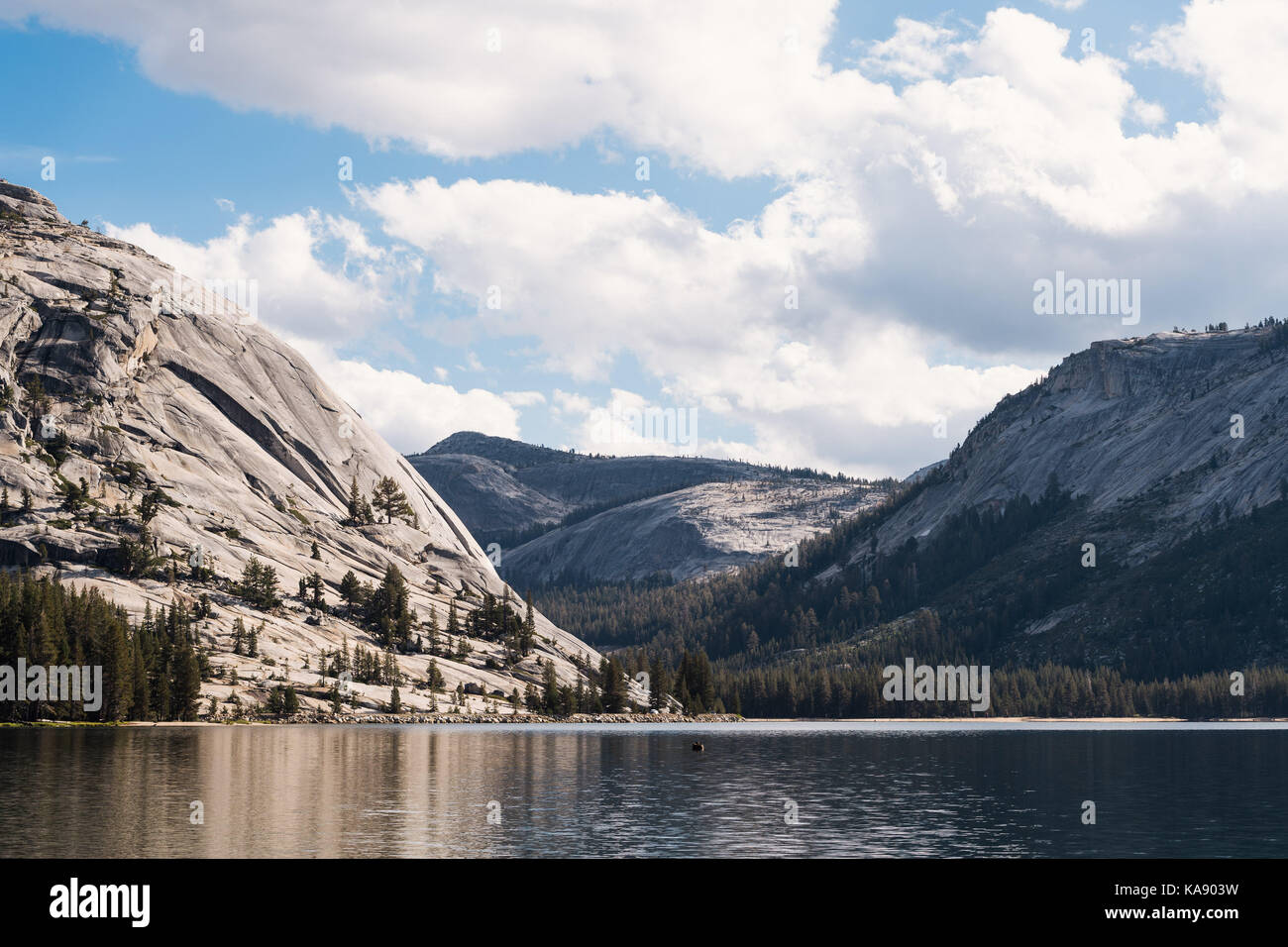 Lac Tenaya, Yosemite National Park, California, USA Banque D'Images