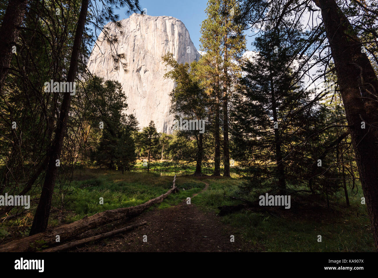 El Capitan dans la région de Yosemite National Park, États-Unis Banque D'Images