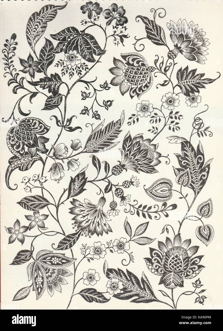 schwarz-weiß Paisley Illustration de Vecteur