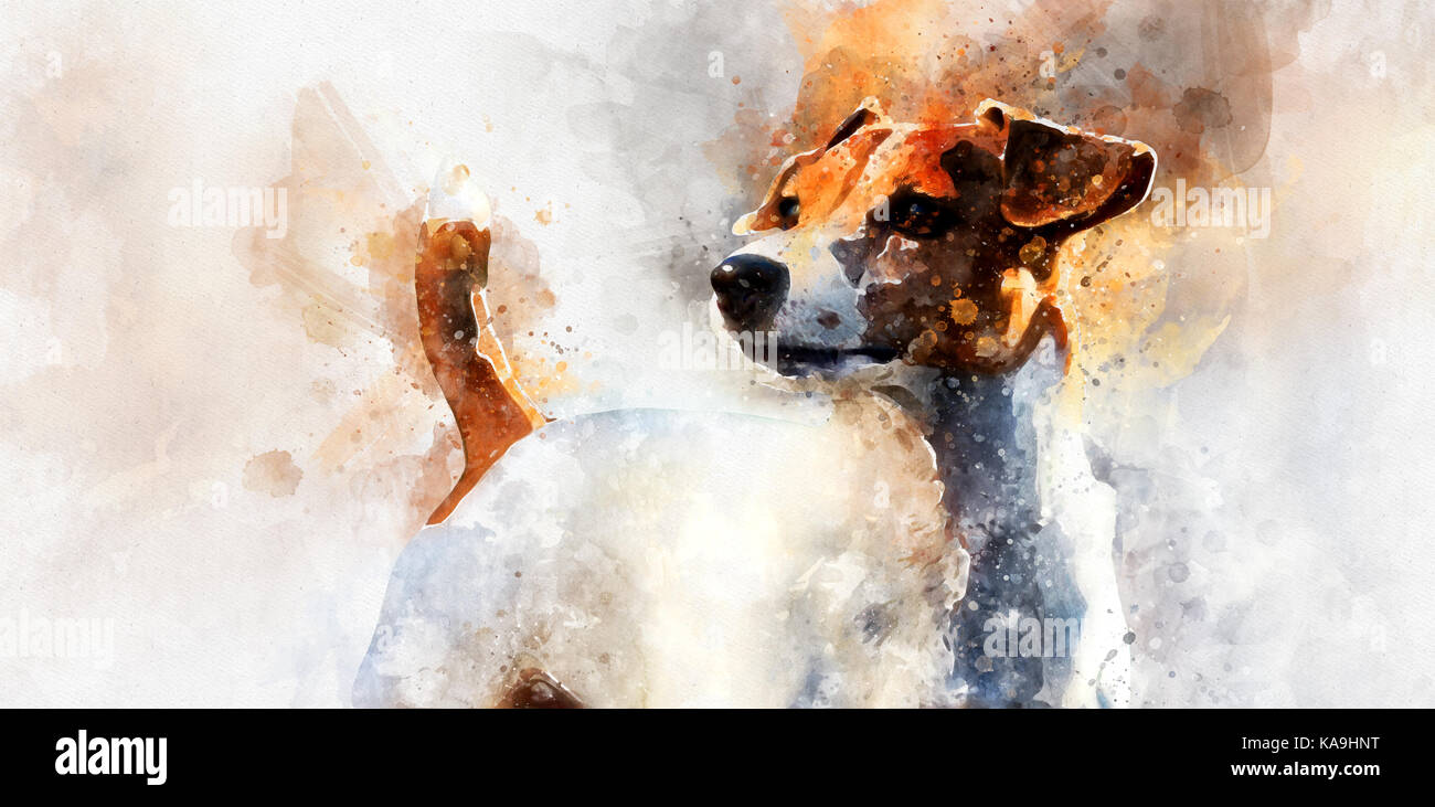 Aquarelle numérique de Jack Russell Terrier dog Photo Stock - Alamy