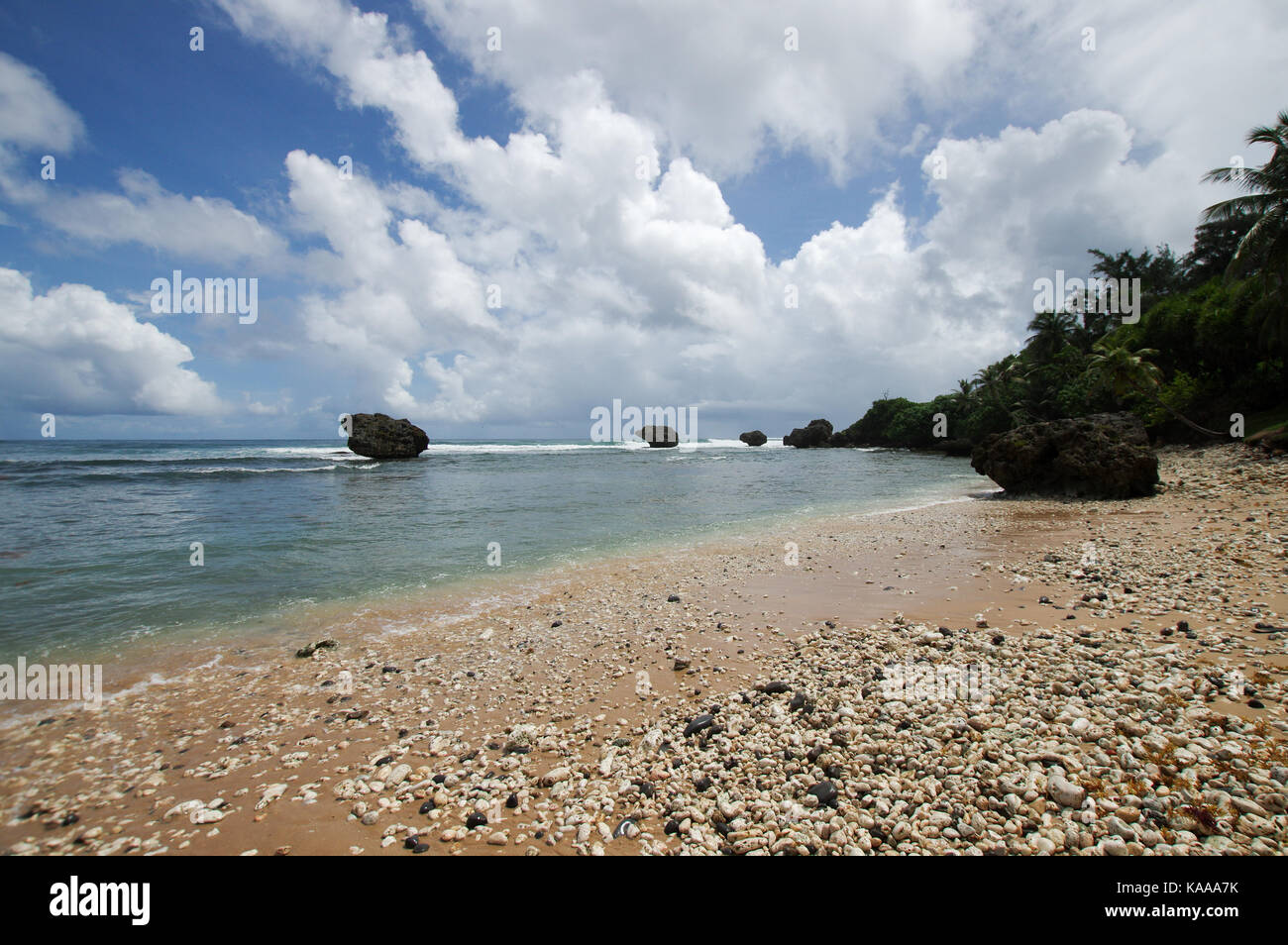 Belle et robuste Plage de Bathsheba, sur la côte est de la Barbade Banque D'Images