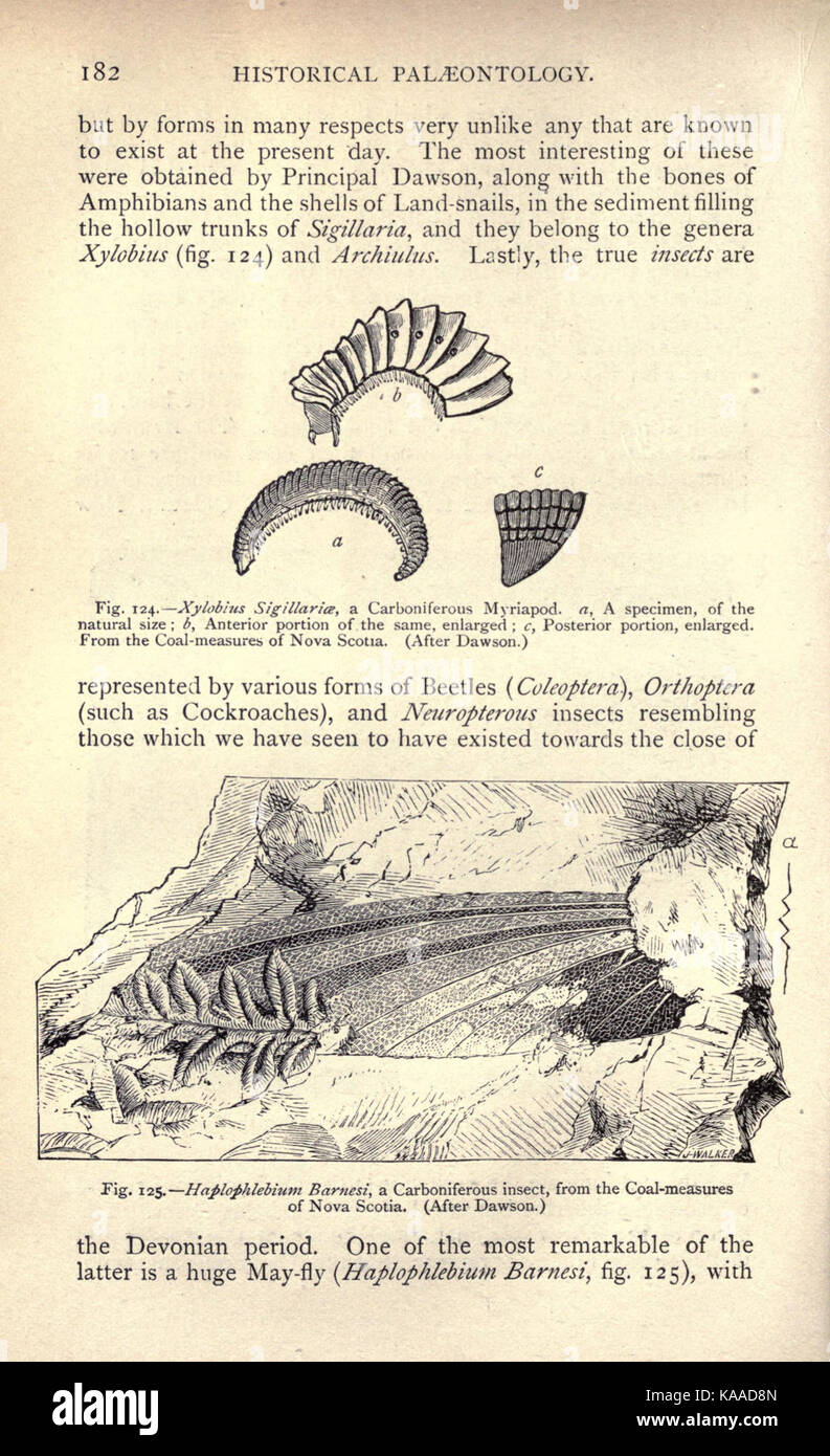 La vie ancienne histoire de la terre (page 182) BHL16763916 Banque D'Images