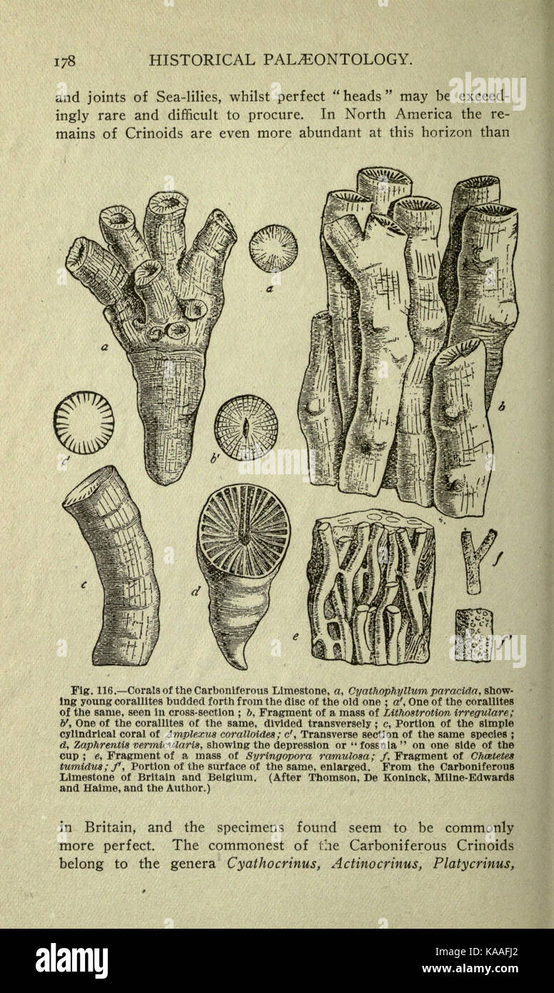 Cette page de 'L'histoire de la vie antique de la Terre' traite du temps géologique et de l'histoire de la vie sur Terre. Il fait partie d'un texte scientifique complet sur le passé évolutif de la Terre. Banque D'Images