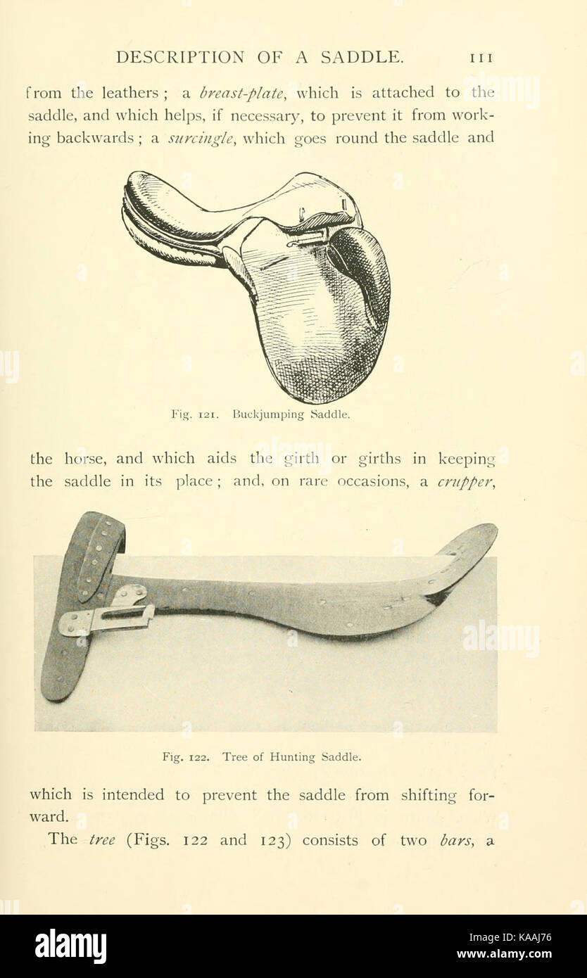 Cette page d'un livre historique décrit des scènes d'équitation et de chasse, mettant l'accent sur des activités communes dans les siècles passés comme loisirs et sport. Banque D'Images