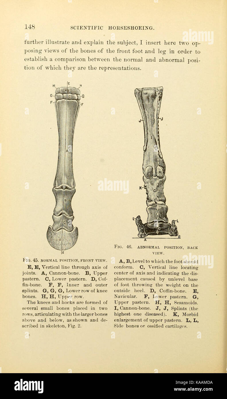 Russell sur produits scientifiques (page 148) BHL19280964 Banque D'Images